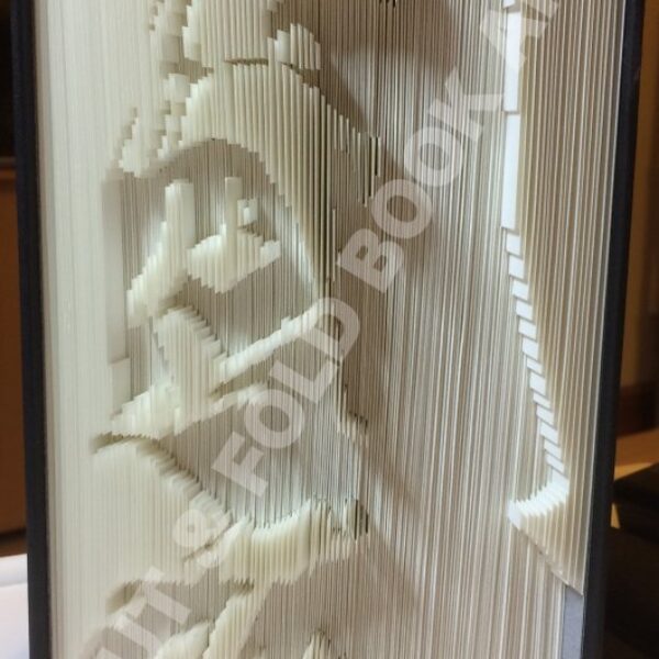Darth Vader - Cut & Fold Book Folding Pattern