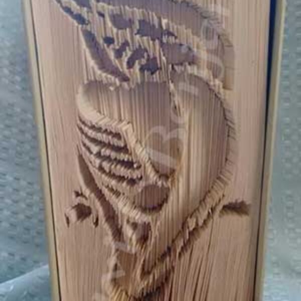 Kingfisher - Cut & Fold Book Folding Pattern
