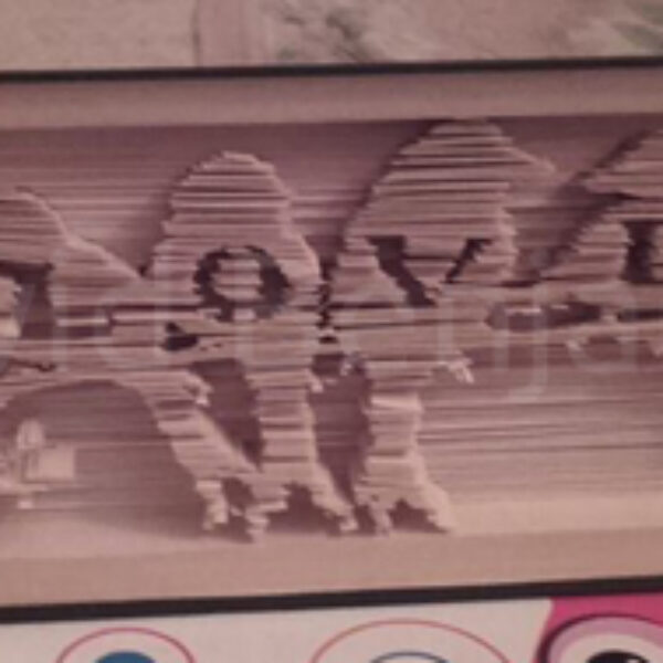 Love In Birds - Cut & Fold Book Folding Pattern