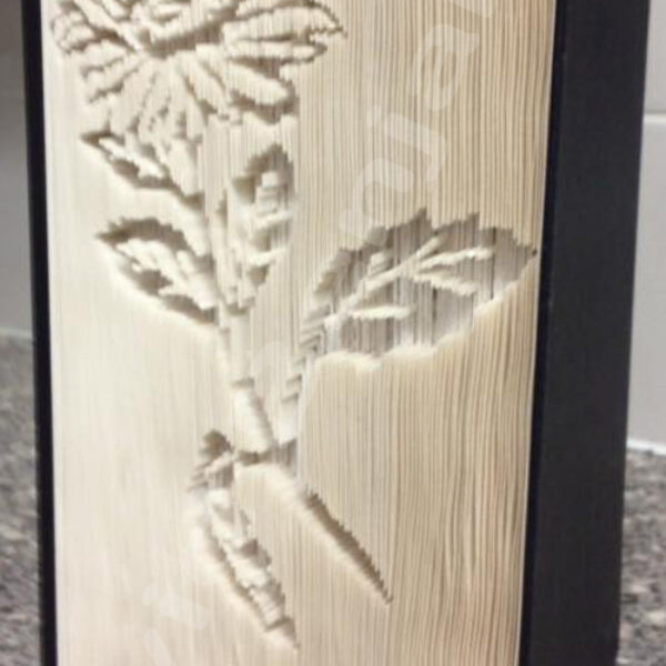 Aster - Cut & Fold Book Folding Pattern