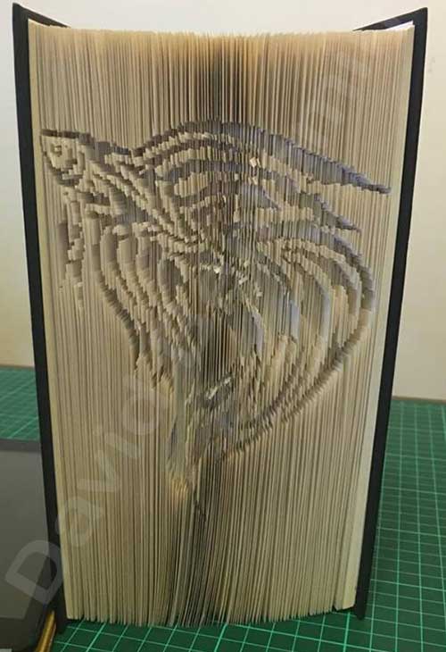 Beta Fish - Cut & Fold Book Folding Pattern