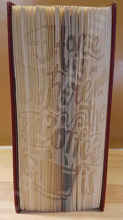 partial Cut and fold book fold