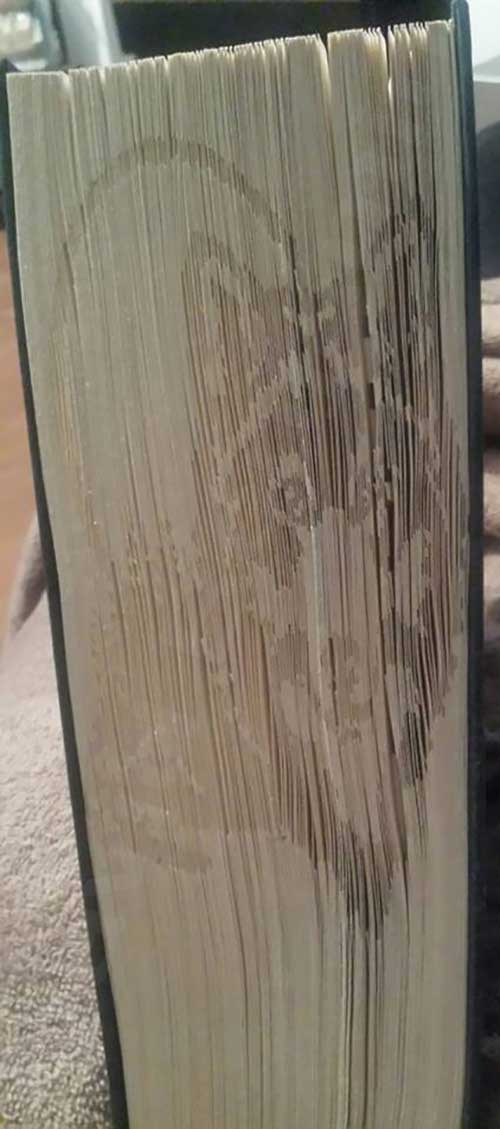 Wolf Moon - Cut & Fold Book Folding Pattern - Image 2