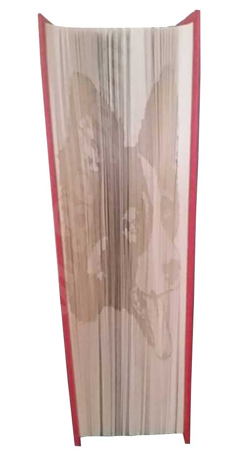 Welsh Collie - Cut & Fold Book Folding Pattern