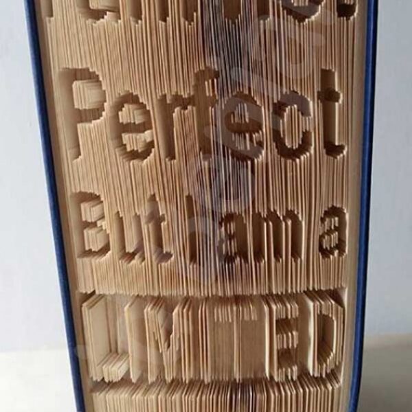 I Am Not Perfect - Cut & Fold Book Folding Pattern